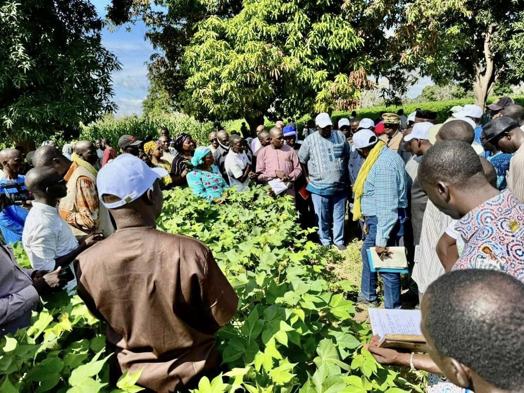 Le ministre de l’agriculture et le PDG de la CMDT en visite de prise de contact avec les exploitants agricoles et de suivi de la campagne agricole dans la filiale sud